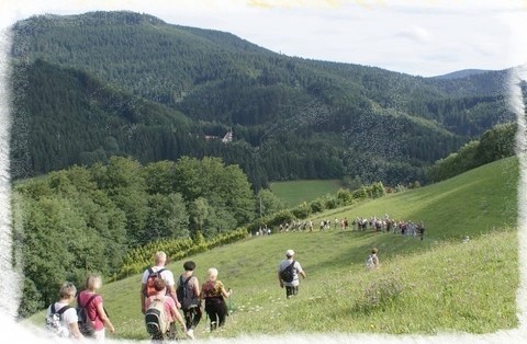 Hautes-Vosges
